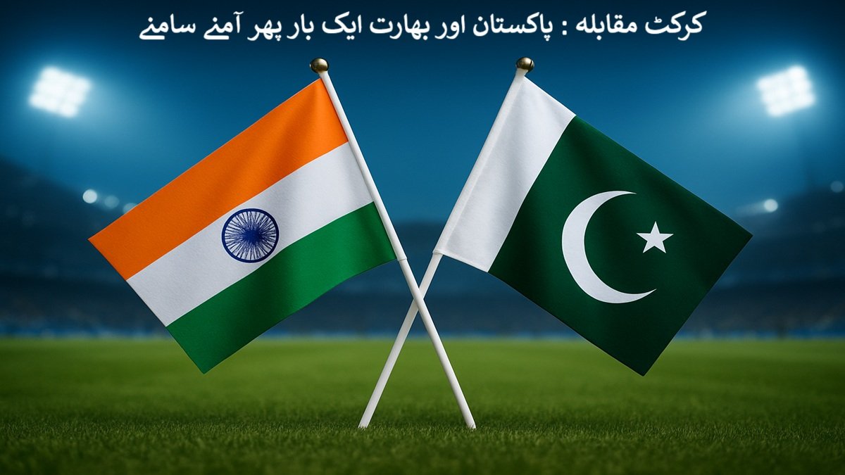 Cricket players in action during an international T20 match